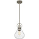 Singh 1-Light Pendant
