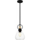 Singh 1-Light Pendant