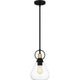 Singh 1-Light Pendant