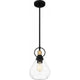 Singh 1-Light Pendant