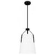 Faye 1-Light Pendant