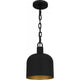 Raquel 1-Light Mini Pendant