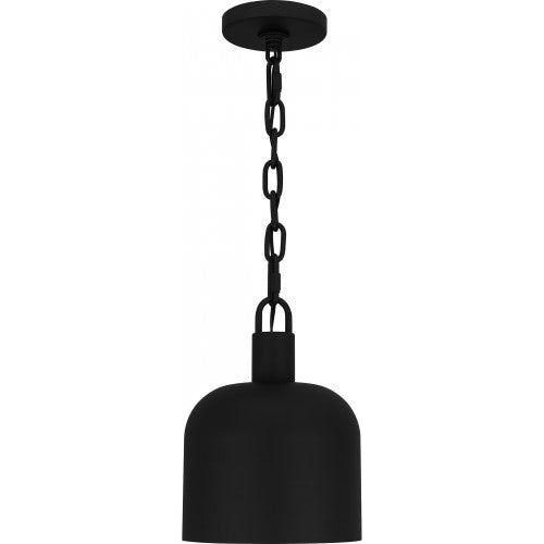 Raquel 1-Light Mini Pendant