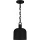 Raquel 1-Light Mini Pendant
