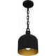 Raquel 1-Light Mini Pendant
