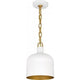 Raquel 1-Light Mini Pendant