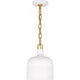 Raquel 1-Light Mini Pendant