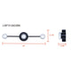 Vanya 3-Light Sconce