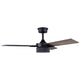 Cale Ceiling Fan