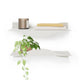 Surf Wall Shelves (Set of 2)