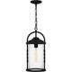 Reece Outdoor Pendant