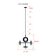 Payton 5-Light Chandelier