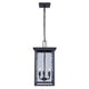 Shana 3-Light Outdoor Pendant