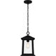 Satterfield Outdoor Pendant