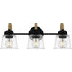 Seabreeze 3-Light Bath Light