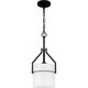 Seymour 1-Light Mini Pendant