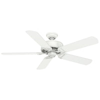 Panama DC 54" Fan