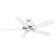 Panama DC 54" Fan