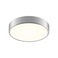 Pi 12" LED Surface Mount