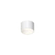 Ilios 6" LED Surface Mount