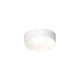 Ilios 10" LED Surface Mount