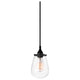 Chelsea 1-Light Pendant