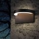 Cusp LED Sconce
