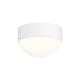 REALS LED Surface Mount with Dome Lens