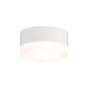 REALS LED Surface Mount with Cylinder Lens