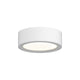 REALS LED Surface Mount with Plate Lens
