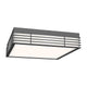 Marue 14" Square LED Surface Mount