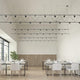 Suspenders 14' Flat Truss with Power Precise Direct Mount Cylinders + Power Precise Bar-Mounted Aimable Cylinders