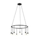 Suspenders 24" Single Ring with Ball Luminaires