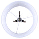 Cameram 1-Light Floor Lamp