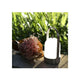 Dawn 1-Light Portable Table Lamp