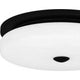 Tavani LED Flush Mount