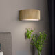 Scarlett 1-Light Sconce