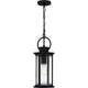 Tilmore 1-Light Mini Pendant
