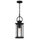 Tilmore 1-Light Mini Pendant