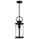 Tilmore 1-Light Mini Pendant
