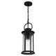 Tilmore 1-Light Mini Pendant