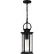 Tilmore 1-Light Outdoor Pendant