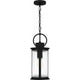 Tilmore 1-Light Outdoor Pendant