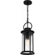 Tilmore 1-Light Outdoor Pendant