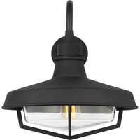 Hollis 1-Light Large Wall Lantern