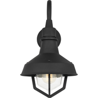 Hollis 1-Light Small Wall Lantern