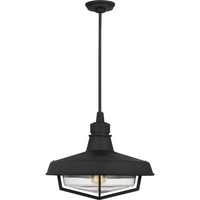 Hollis 1-Light Large Pendant
