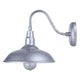 Desi 1-Light Outdoor Lantern