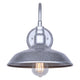 Desi 1-Light Outdoor Lantern