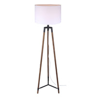Cameram 1-Light Floor Lamp
